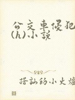 公交车侵犯男人(h)小说