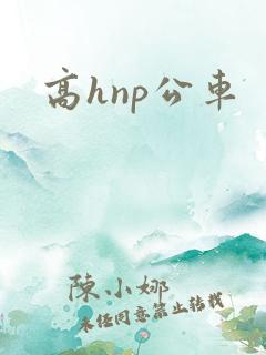 高hnp公车