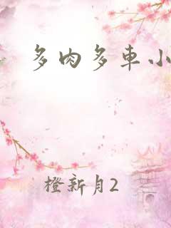 多肉多车小说
