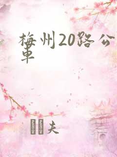 梅州20路公交车