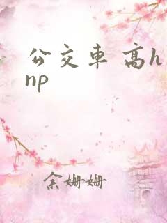 公交车 高h np