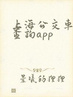 上海公交车实时查询app
