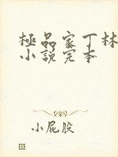 极品家丁林晚荣小说完本