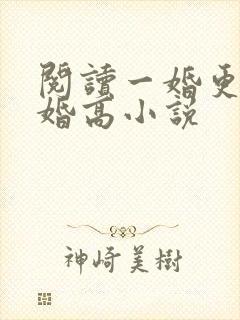 阅读一婚更比一婚高小说