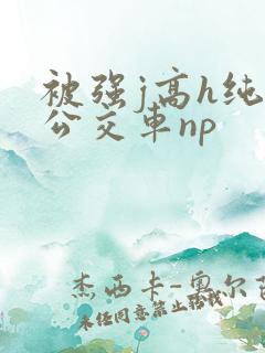 被强j高h纯肉公交车np