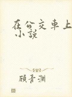 在公交车上被h 小说