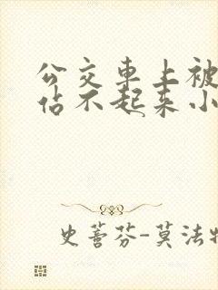 公交车上被c的站不起来小说