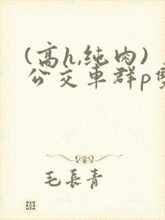 (高h,纯肉)公交车群p双性