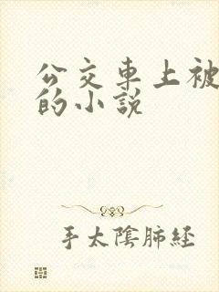 公交车上被玩弄的小说