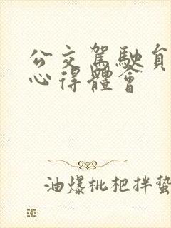 公交驾驶员培训心得体会