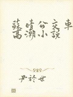 苏晴公交车被弄高潮小说