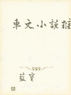 车文小说推文