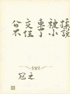 公交车被揉到忍不住了小说