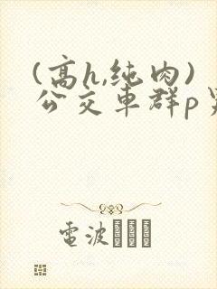 (高h,纯肉)公交车群p男男