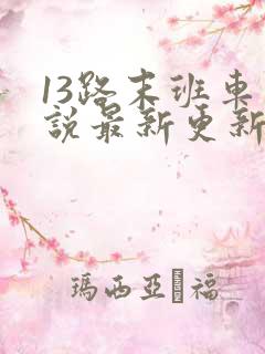 13路末班车小说最新更新