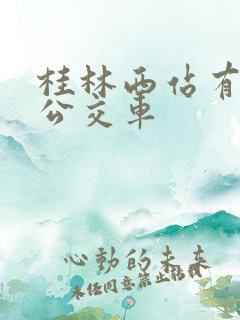 桂林西站有哪些公交车