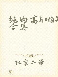 纯肉高h啪短文合集