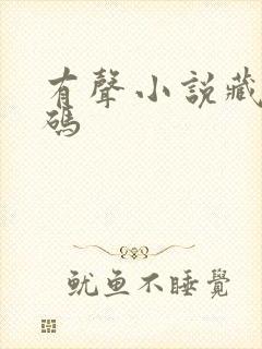 有声小说藏地密码