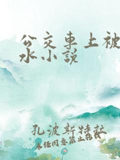 公交车上被摸出水小说