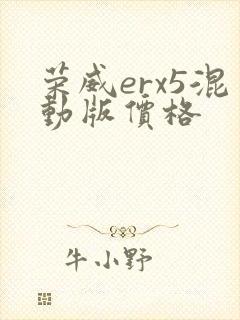 荣威erx5混动版价格