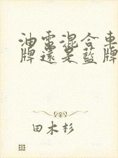 油电混合车是绿牌还是蓝牌
