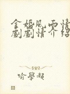 金婚风雨情电视剧剧情介绍