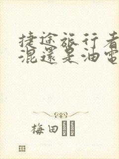 捷途旅行者是插混还是油电混