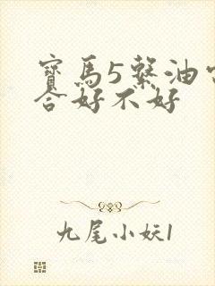 宝马5系油电混合好不好