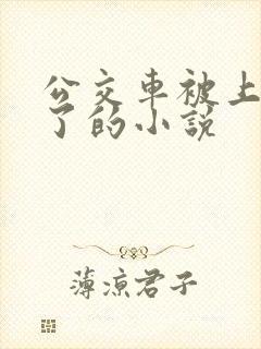 公交车被上高潮了的小说