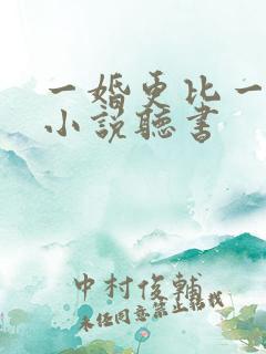一婚更比一婚高小说听书