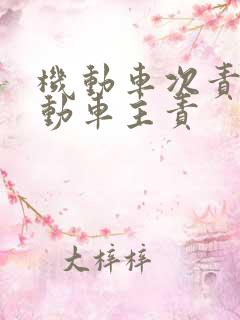 机动车次责非机动车主责