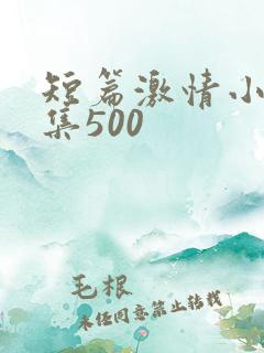 短篇激情小说合集500