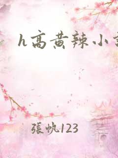 h高黄辣小说