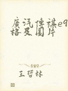 广汽传祺e9价格及图片