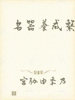 名器养成系统