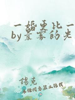 一婚更比一婚高by晨雾的光类似的小说