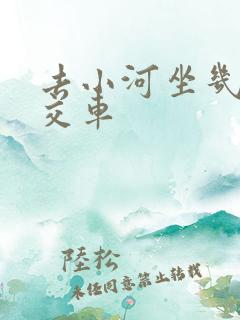 去小河坐几路公交车