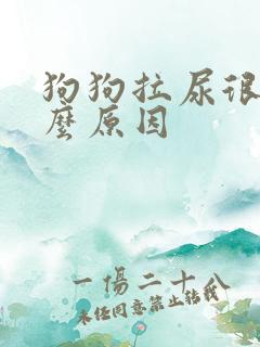 狗狗拉尿很黄什么原因
