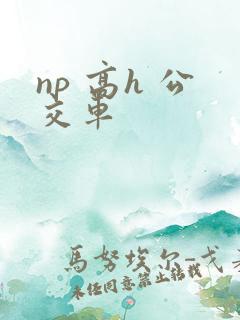 np 高h 公交车