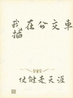 我在公交车上被插