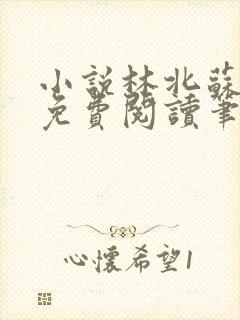 小说林北苏婉儿免费阅读笔趣阁