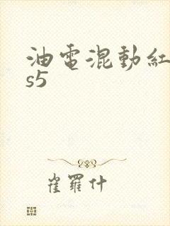 油电混动红旗hs5