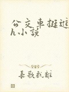 公交车挺进的小h小说