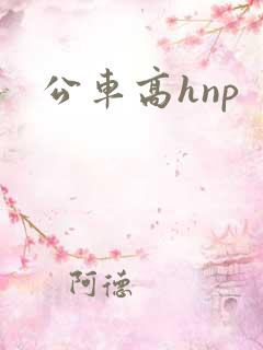 公车高hnp