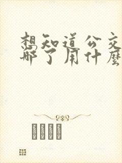 想知道公交车到哪了用什么软件