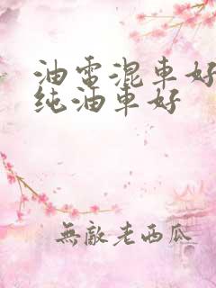 油电混车好还是纯油车好