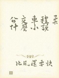 公交车程柔雪是什么小说