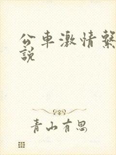 公车激情系列小说
