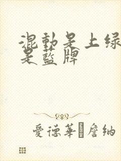 混动是上绿牌还是蓝牌