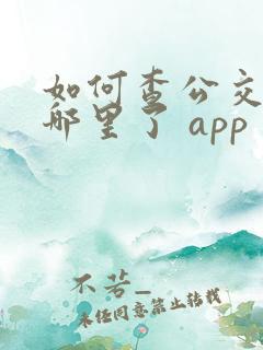 如何查公交车到哪里了 app